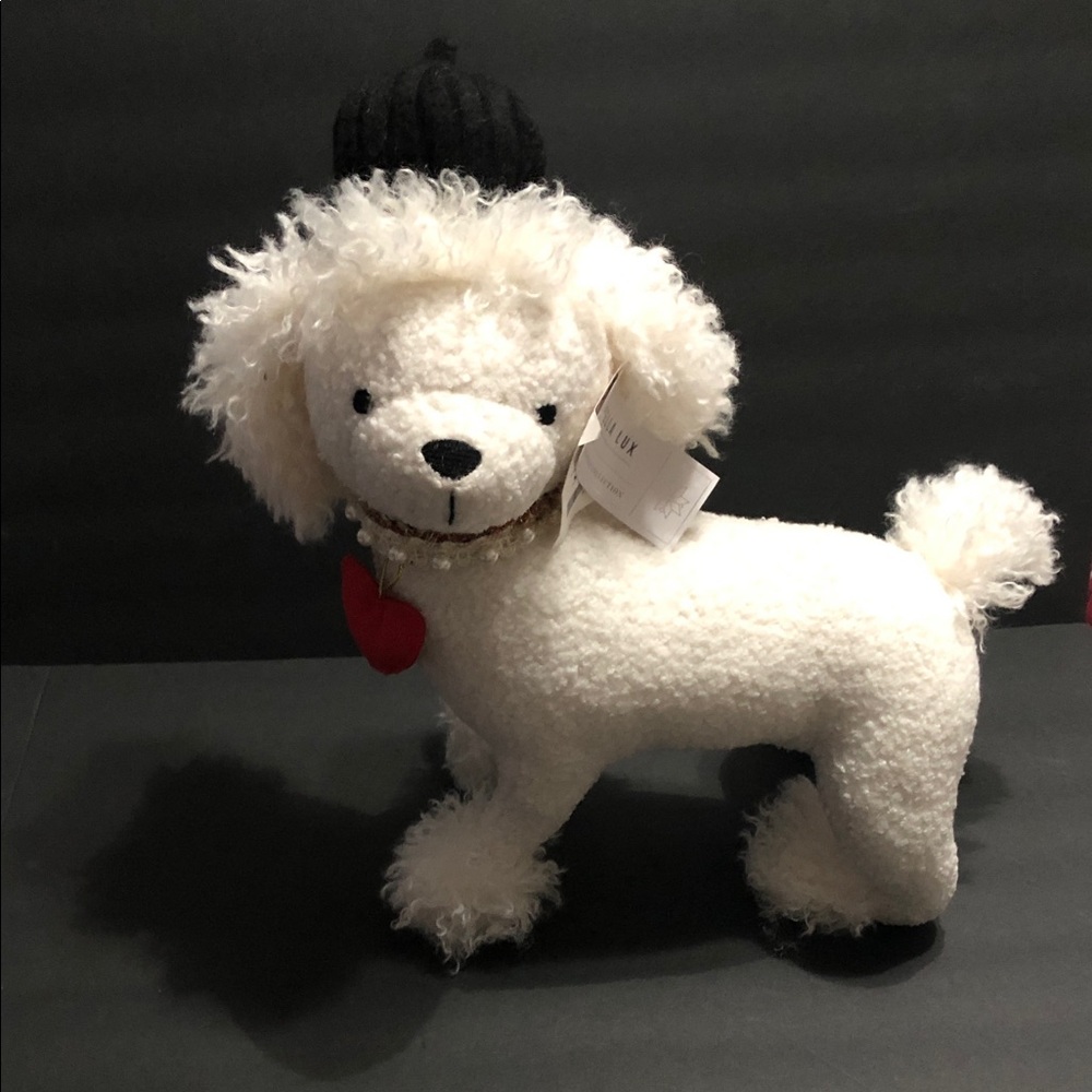 Bella lux white poodle puppy with pearl adorned lace choker and black beret new